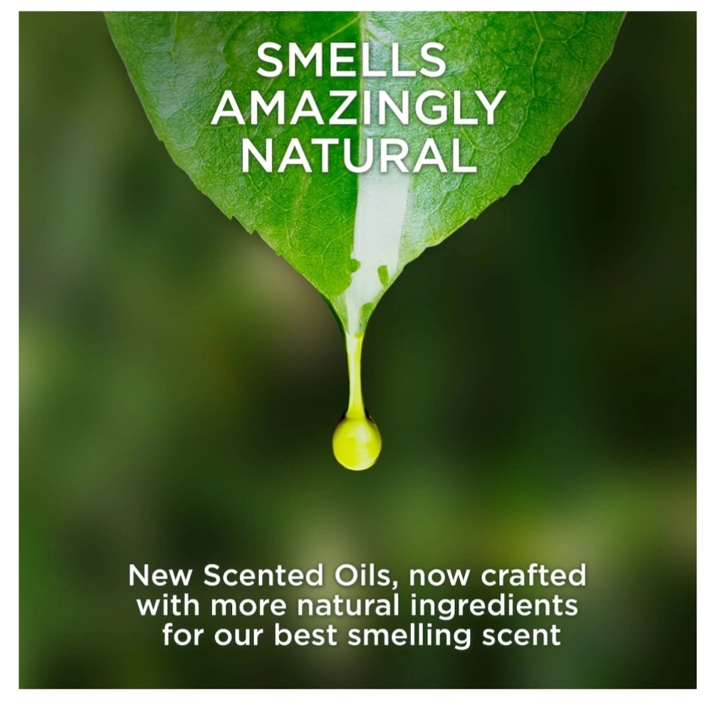 New Air Wick Scented Oil Refill, 5ct, Bonfire and Crisp Fall Air, Air Freshener - Picture 8 of 12